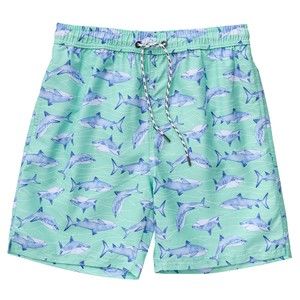 Mens Minty Shark  Volley Boardies